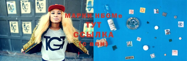 мдпв Богородицк