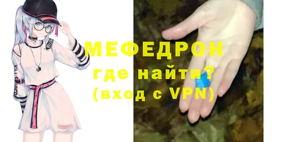 мдпв Богородицк