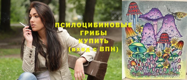 apvp Богданович