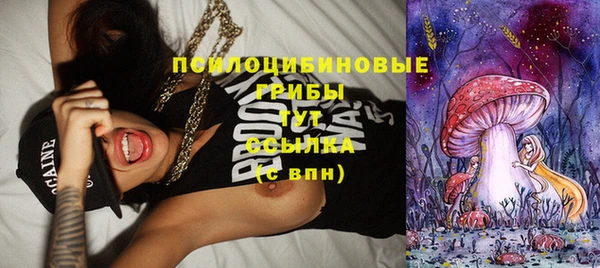 мдпв Богородицк