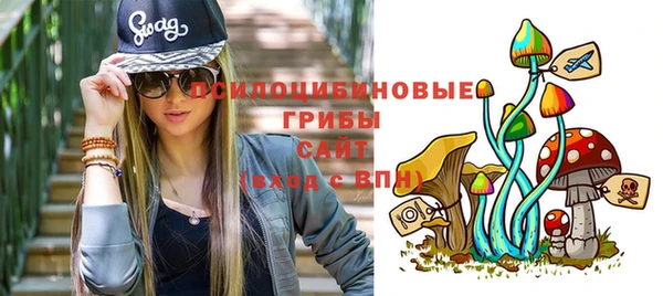шишки Беломорск