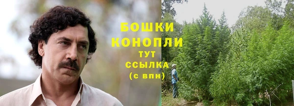 прущие крисы Белокуриха