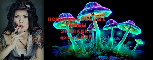 стафф Баксан